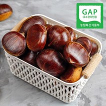 [웰굿][GAP인증] 산지직송 충남 공주 정안 알밤 2kg(특)