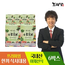 보의당 박경호 야채한끼선식 6박스 (30g x 60포), 단일옵션