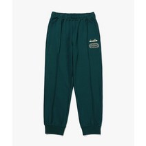 Diadora 에센셜 조거 팬츠 그린