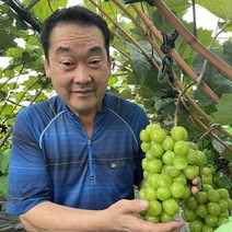 20브릭스 선물용 프리미엄 강진 샤인머스켓 샤인머스캣 명절 과일 선물, 1개, 프리미엄 2kg