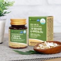 애플트리김약사네 임산부영양제 그린 엽산 400 임신부 임신준비 임신초기 수유부 산모 추천 엽산영양제 비타민b6 비타민b12 해조칼슘 효능 추천, 1병, 500mgX90정