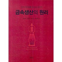 단위공정을 중심으로한 금속생산의 원리, 교문사(청문각), 이상호,유재근,손진군,백영현 공저