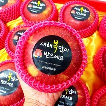 [최상등급] 청송 얼음골 부사 사과 선물세트 추천, 부사 4.5kg (정품), 중과(16~17과)