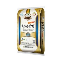홍천철원 E황금미가 쌀 20kg 22년산 당일도정, 단일상품/단일상품, 1개