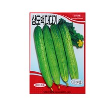 미미네가든 삼도백다다기오이 씨앗(30립)-채소 키우기, 단품