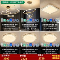 레이시 할로윈조명 구미 경럭셔리 음식 청주 샹들리에조명, T15-스마트 4개 룸 2개 홀 푸드트레인, 기본