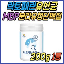 락토페린 분리 유청 우유 단백질 MBP 엠비피 유산균 초유 분말 파우더 가루 WPC WPI 덴마크 밀크 칼슘 유단백 미셀라 카제인 중년 여성 여자 남성 남자 시니어 노인 어르신