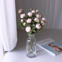 로지스튜디오 자나장미, 피치