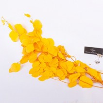 우체통 우편함 건의함 자연 말린 꽃 보존 사과 잎 웨딩 장식 실제 식물 유칼립투스 정원 홈 액세서리 100g, [08] Yellow