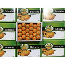 제주 당도선별 불로초 감귤 타이벡 밀감 제주도 귤 선물, 당도선별 타이벡감귤 4.5kg(2s~m)