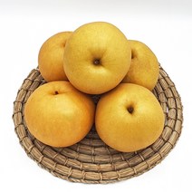 올바른새움푸드 국산100% 햇배 신고배 선물용배 산지직송, 신고배(특품) 2.5kg(3-4과)