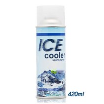 ICE COOLER 콜드 스프레이 420ml 쿨링 냉각 스프레이, 단품