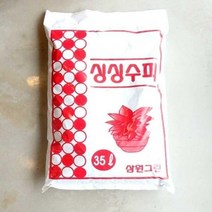 35L 아라우카리아 황칠 남천 나무 금전수 천리향 분갈이
