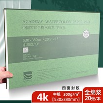 수채화종이 두꺼운 도화지 바오홍 수채화본 300g 풀솜 펄프 중 굵기 8K 미술생 전용 4K 팔개사면접착 보홍보홍표 수채화지 중국 보정수채화본, 09 정품 더하기【 4K-중두께】300g /20쪽 (5