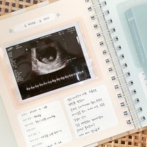산모수첩 초음파앨범 태교일기장 사진포켓포함, 버드