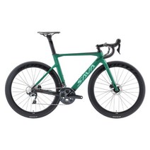 SAVA 도로 자전거 2021 탄소 도로 자전거 700C 전체 탄소 자전거 탄소 프레임 자전거 시마노 ULTEGRA R8020 디스크 브레이크, 56, 초록
