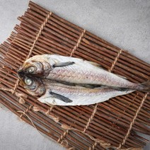 바른맛켓 반건조생선 골라담기 말린생선 박대 고등어 돌돔 우럭 명태 쥐치 조기, 4번