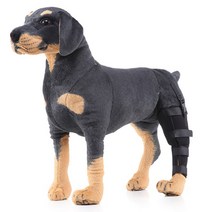 애견 강아지 슬개골 보호대, XS 왼쪽뒷다리