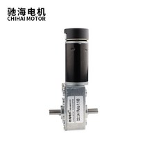 웜기어 감속기 모터 ChiHai 모터 CHW-GW4058-3162ABHL 자동 건조 랙에 대 한 높은 토크 웜 기어 박스 감소, 02 ratio 36_01 DC 24V- 80