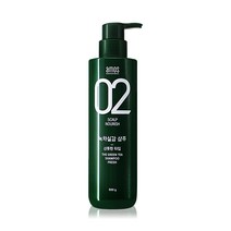 아모스 녹차실감 지성두피 프레쉬 샴푸, 500g, 1개, 500ml