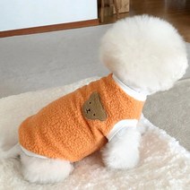 가을 푸들 강아지 미니 비숑 반려동물 고급 겨울 옷 뽀글이, 귤색 + XS등 길이 18cm (1-2근 권장)