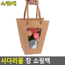 속보이는케이스 꽃집쇼핑 개업선물용 튼튼한손잡이끈 사다리꼴쇼핑백, 중