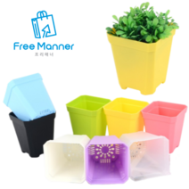 [FreeManner] 플라스틱 미니 사각 화분 10P 다육이 허브 반려식물, 노랑색