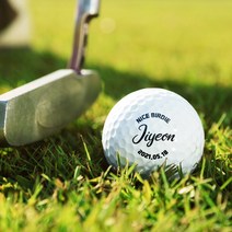 반달콤 주문제작 커스텀 골프공, 05.영문네임, 1개