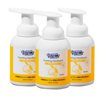 포멀비 포밍 핸드워시 레몬향, 12개, 250ml