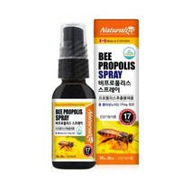 캐나다 직수입 비프로폴리스 스프레이30ml 항산화도움 면역력영양제 프로폴리스, 상세페이지 참조, 상세페이지 참조