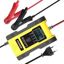 foxsur 자동차 배터리 충전기 FOXSUR 자동 스마트 12V / 24V 리튬 AGM 젤 납 산성 LiFePO4 딥 사이클 수리 오토바이 빠른, AU Plug (Red), AU Plug (Red)