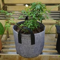 블루베리 키우기 부직포화분 베란다 옥상 40x30 플랜트박스 대파 텃밭 화분, 상세페이지 참조2, 2화분10갤런-그레이