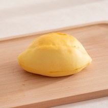 스콘 모형