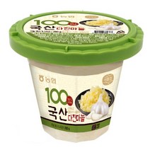 [농협식품] 냉장 국산다진마늘 250g, 1개