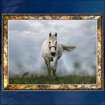 A274-4/액자/사진액자/풍경사진/말사진/말그림/벽걸이액자