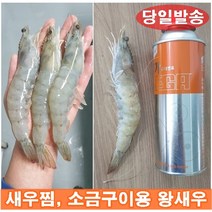 왕새우 특대 대하 소금구이 캠핑용 최상급 특대하 당일 발송, 왕새우 1kg
