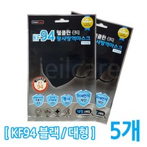 웰클린 황사마스크 KF94 블랙 대형 미세먼지 마스크, 1개입, 5개