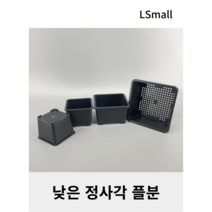 낮은 정사각 플라스틱 화분, 2호