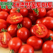 탱글한 담양 대추 방울토마토 1-3번과, 대추방울토마토 2kg/2개 주문시 5kg발송, 1개