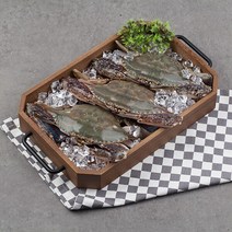 [자연맛남] 태안 당일조업 싱싱 활 꽃게 5kg (25미내외/빙장포장)