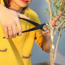 가지치기 원예용 가위 가드닝 나무 꽃 관리 도구, J 원예가위 패키지 사진참조