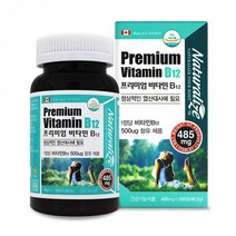 비타민B12 영양제 비타민비12 VITAMINB12 비타민12