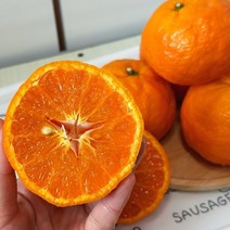 고당도 카라향 선물용 서귀포 산지직송, 1박스, 5kg  선물용