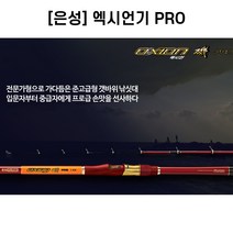 [은성] 엑시언기 PRO 갯바위낚시대 바다낚시대 감성돔 벵에돔