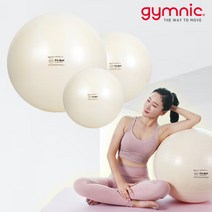 짐닉 피트볼 짐볼 55cm 진주펄/운동볼, 선택완료