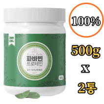 웰빙곳간 파바빈 100% 단백질 분말 500g x2통 잠두 콩 식이섬유 식물성 프로테인 프로틴 파우더 가루 고함량 비타민 인 아미노산 엽산 티아민 철 구리 칼슘 운동 헬스 보충제, 2개