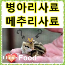 초이사료 병아리사료 1kg 소분판매전문 종합비타민 폐사방지 비타민 천연미네랄 무기질 다량함유 [명품사료], 7번 목욕모래 1kg