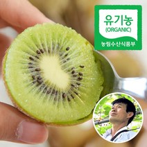 통영 유기농 참다래 그린키위, 5KG 45과 전후