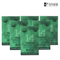 [한미양행] 카테킨14 녹차추출물 다이어트보조제 700mg 42정 6박스, 상세 설명 참조, 상세 설명 참조