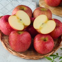 농가살리기 청송 부사사과 햇 꿀 사과 가정용 꼬마소과 혼합과 2kg 3kg 5kg 10kg, 청송 부사 꼬마소과 2kg 12과 내외